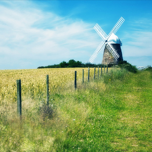 艳妇荡岳丰满交换做App
