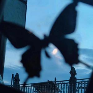 艳妇荡岳丰满交换做App
